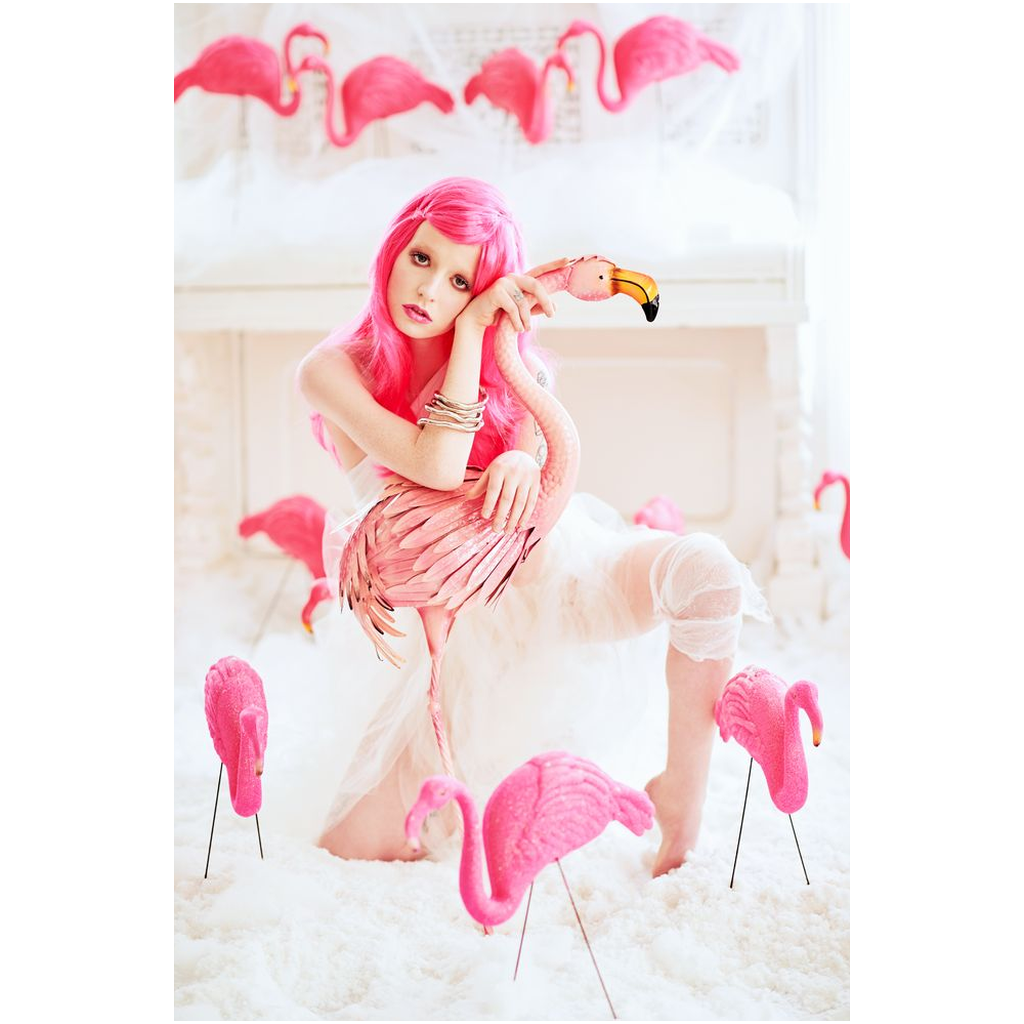 Fine Art photograph of a girl in a pink wig with pink flamingos