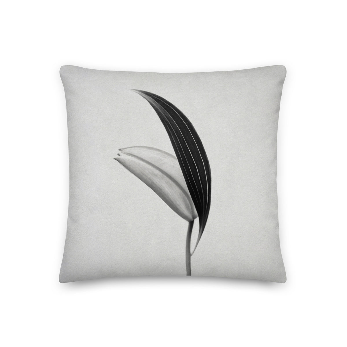 Premium Pillow with a silver cover with a black and photo of a budding Lily