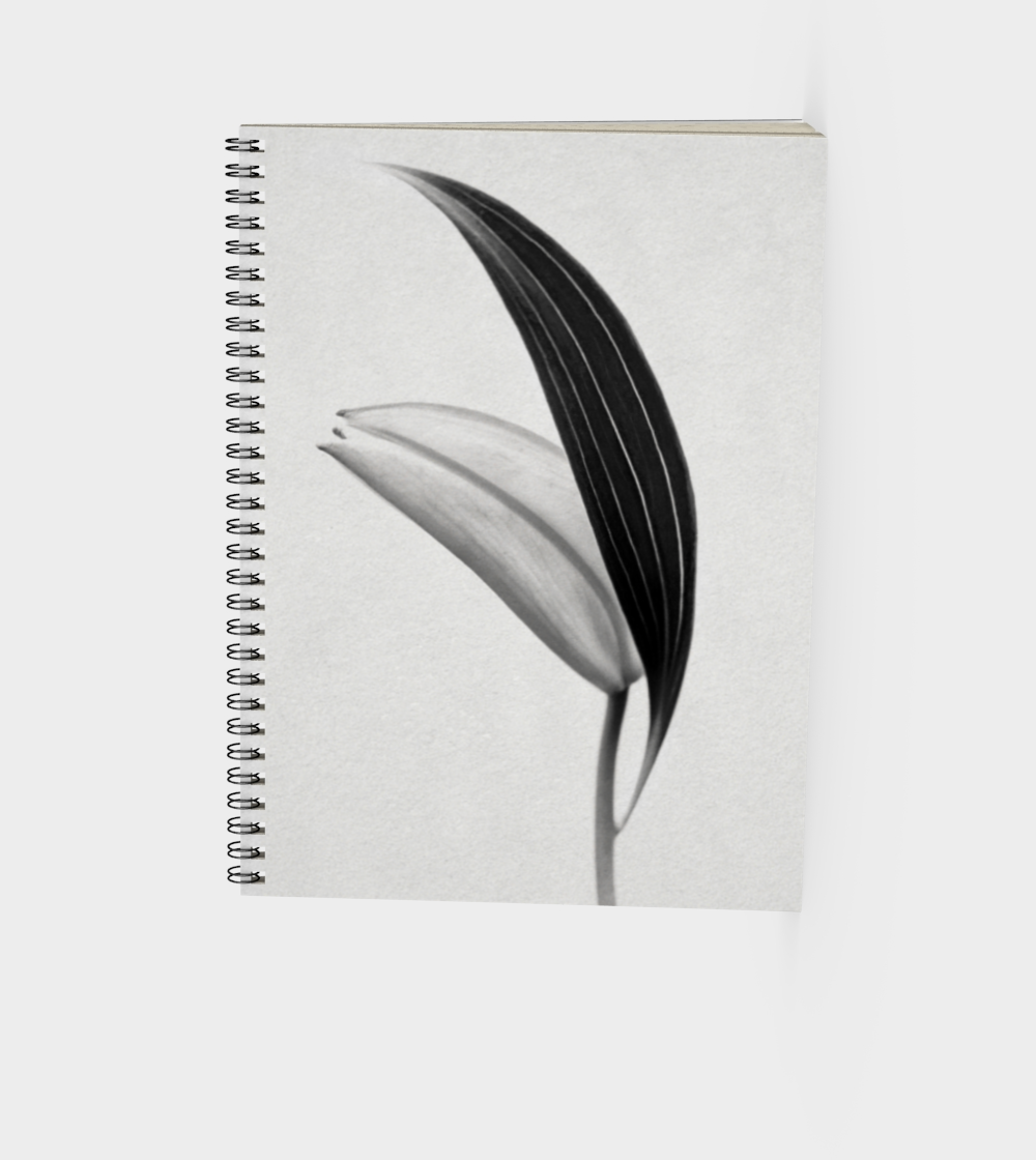 Spiral journal with a silver cover with a black and photo of a budding Lily